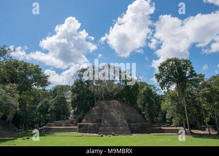 Alten Maya Tempel und Ruinen von Caracol, Belize Stockfoto