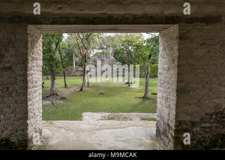 Torbogen in einem Maya in Cahel Pech, Belize Ruine, auf einem Tempel suchen Stockfoto