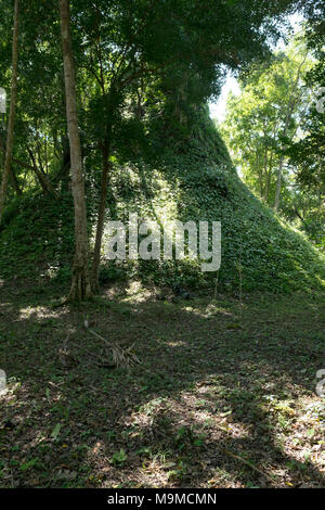 Antiken Ruinen und Tempel von Topoxte Insel, Guatemala Stockfoto