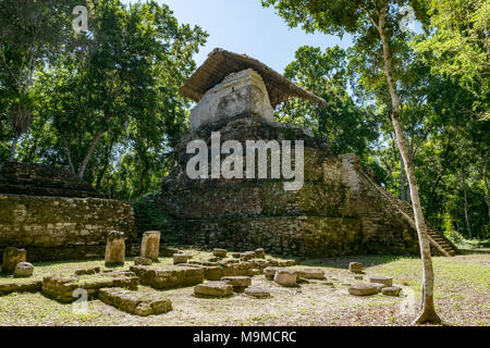 Antiken Ruinen und Tempel von Topoxte Insel, Guatemala Stockfoto