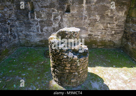 Antiken Ruinen und Tempel von Topoxte Insel, Guatemala Stockfoto