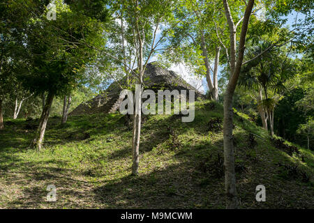 Alte Dämme für Gebäude unter von der Maya archäologische Stätte in Yaxha, Guatemala Stockfoto