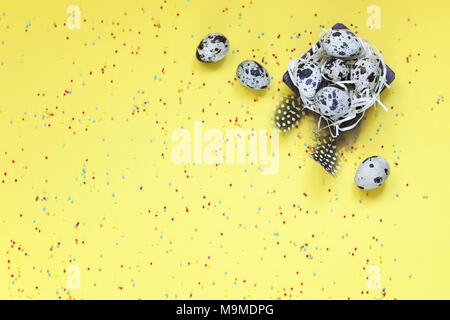 Ostern mit Federn Wachteleier candy Pulver gelb hinterlegt Stockfoto