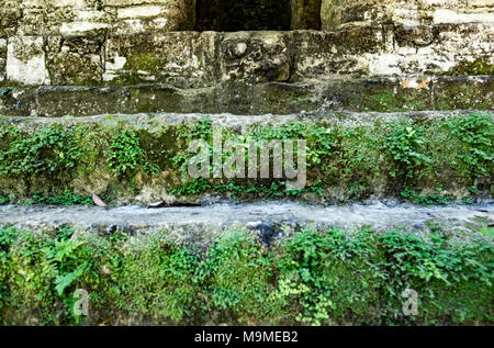 Alten Maya Maske, die den Kopf eines Jaguars auf einen Tempel in Tikal, Guatemala Stockfoto