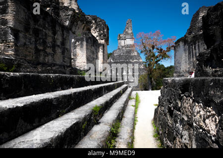 Alten Maya archäologische in Tikal, Guatemala Ruine Stockfoto