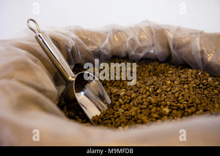 Grüner Kaffee Bohnen kaffee Beutel Stockfoto