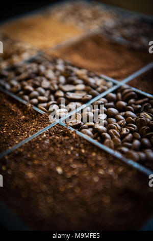 Holzkiste mit drei Arten von Kaffeebohnen und gemahlenen Kaffee Stockfoto