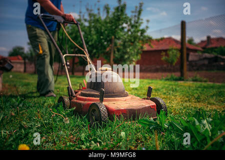 Rasenmäher schneiden grünen Gras im Hinterhof. Gartenarbeit Hintergrund. Stockfoto