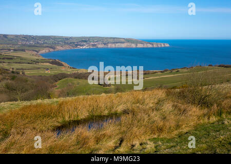 Eine Ansicht von ravenscar über Robin Hoods Bay an einem Frühlingsmorgen im Sonnenschein mit einem kleinen Teich im Vordergrund. Stockfoto