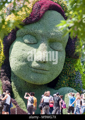 Mutter Erde und Touristen: ein riesiges pflanzlicher Skulptur des Gesichts der Mutter Erde mit einer Schar von Touristen fotografieren in der Frontseite bei MosaiCanada 150. Stockfoto
