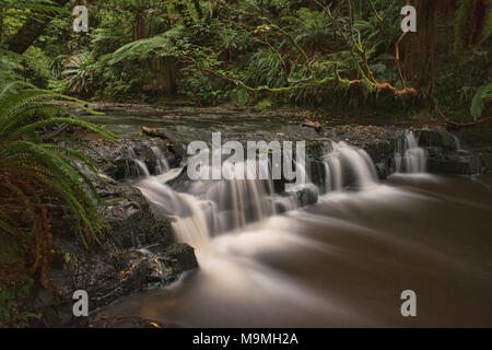 Seidigen Wasser fließt in die catlins Purakaunui fällt, Neuseeland Stockfoto