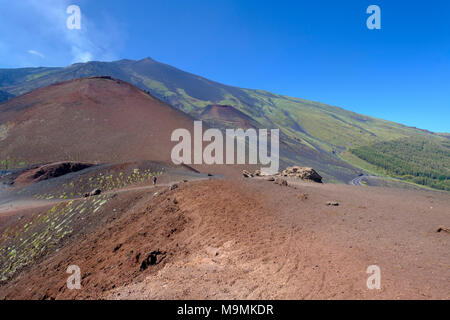 Vulkanische Landschaft, den Vulkan Ätna in der Provinz Catania, Silcilia, Italien Stockfoto