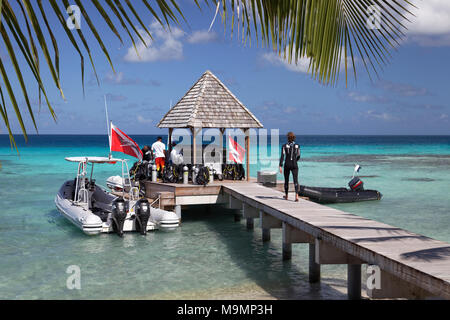 Top Dive Center, Taucher Vorbereitung zum Tauchen, aufblasbares Boot am Pier, Tauchausrüstung, Meer, Pazifik Stockfoto