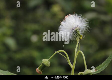 Liebe ist überall Stockfoto