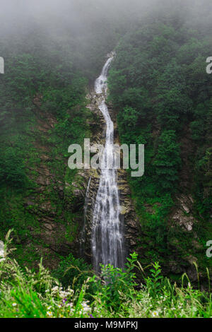 Allgemeine Landschaft Blick auf den Wasserfall auf einem Berg in Ayder Plateau, Rize. Wasserfall fließt zwischen Bäumen. Stockfoto