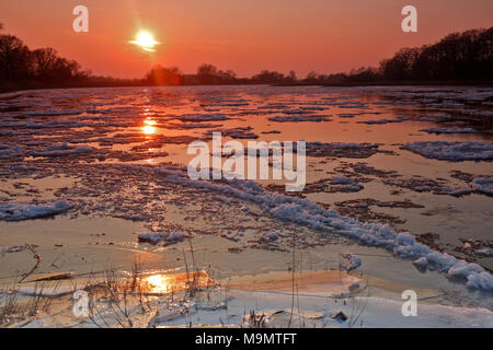 Eis laufen, kleine Eisschollen auf der Elbe bei Sonnenuntergang, Biosphärenreservat Mittlere Elbe, Dessau-Roßlau, Sachsen-Anhalt, Deutschland Stockfoto