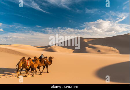 Mit Kamele (camelidae) Reiten durch den Sand Dünen, Wüste Gobi, Mongolei Nomad Stockfoto