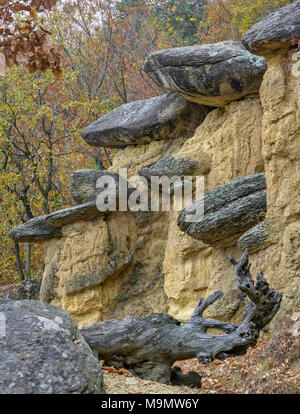 Stein Pilze, Ciciu del Villar, Villar San Costanzo, Piemont, Italien Stockfoto