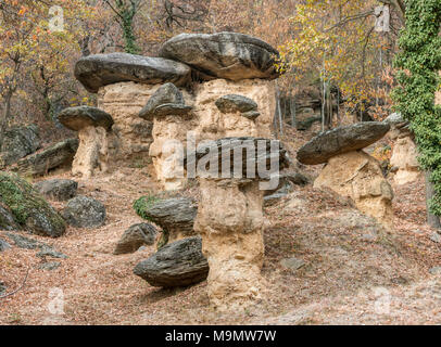 Stein Pilze, Ciciu del Villar, Villar San Costanzo, Piemont, Italien Stockfoto