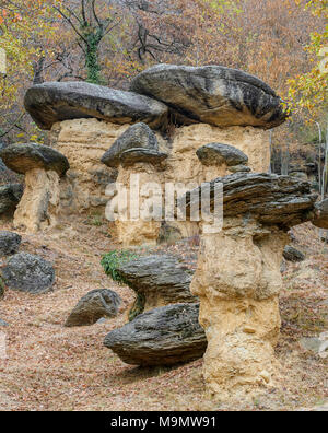 Stein Pilze, Ciciu del Villar, Villar San Costanzo, Piemont, Italien Stockfoto