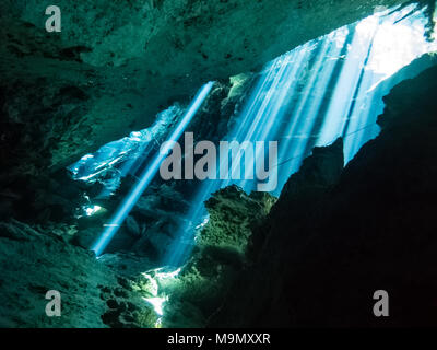 Sonnenstrahlen kommen aus dem Wald und das kristallklare Wasser im Inneren des Chac Mool Cenote in der Nähe von Playa del Carmen in Mexiko eindringen Stockfoto