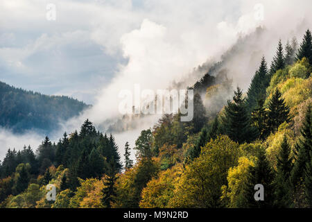 Nebel in das Höllental, Herbst, in der Nähe von Freiburg, Schwarzwald, Baden-Württemberg, Deutschland Stockfoto