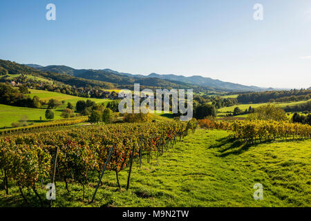 Hügelige Landschaft mit Weinbergen, Hexental, in der Nähe von Freiburg im Breisgau, Markgräflerland, Schwarzwald, Baden-Württemberg, Deutschland Stockfoto