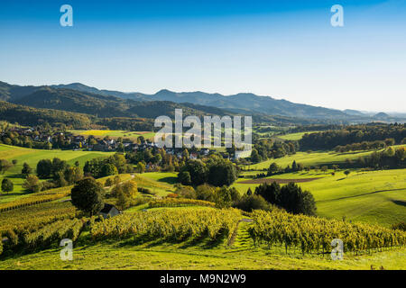 Hügelige Landschaft mit Weinbergen, Hexental, in der Nähe von Freiburg im Breisgau, Markgräflerland, Schwarzwald, Baden-Württemberg, Deutschland Stockfoto