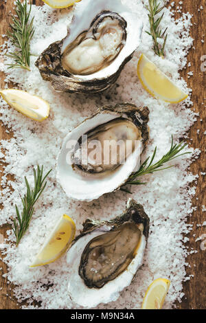 Frische gerade eröffnet, Austern und Scheibe Zitrone auf rustikalen Holzmöbeln Hintergrund Stockfoto