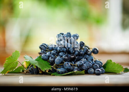 Köstliche reife dunkle blaue Trauben mit grünen Blättern auf einen hölzernen Tisch Stockfoto