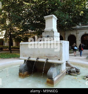 Römische Brunnen im Museum der schönen Künste, Garten, ehemals Abtei Saint-Pierre, Lyon, Frankreich Stockfoto