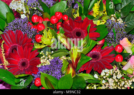 Farbenfrohe festliche floral background-schönen Blumenstrauß aus roten Gerbera, alstroemeria Blumen, Hypericum Stockfoto