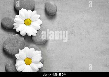 Eingestellt von weißen Blumen auf Kiesel. Spa-Konzept. Stockfoto