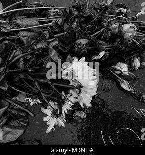 Nach Charlie Terroranschläge: eine Hommage an die Opfer, Paris, FranceRepublic Square Stockfoto