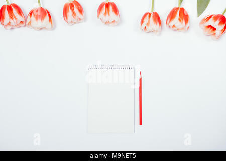 Blick von oben auf die roten Tulpen und ein leeres Notebook mit einem roten Stift auf weißem Hintergrund. Das Konzept der Vorbereitung für die Feier, schreiben eine Liste zu tun. Stockfoto