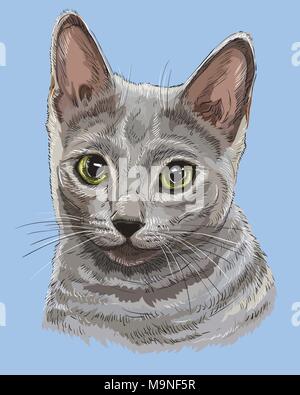 Vektor Kontur bunte Porträt der neugierige Russisch Blau Katze in grauer Farbe. Hand Zeichnung Abbildung auf blauem Hintergrund isoliert Stock Vektor