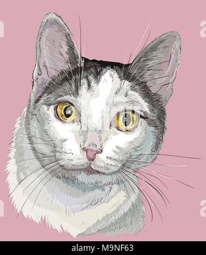 Vektor Kontur bunte Portrait von neugierig Mongrel Katze in Schwarz, Weiß und Grau Farben. Hand Zeichnung Abbildung auf rosa Hintergrund isoliert Stock Vektor