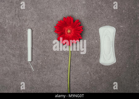 Blick von oben auf die Anordnung der roten Blume, Menstruation pad und Tampon auf graue Oberfläche Stockfoto