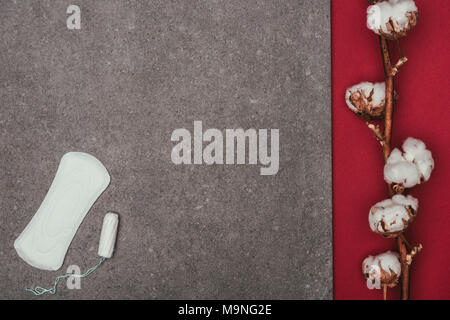 Blick von oben auf die Anordnung der Baumwolle Zweig, Menstruation pad und Tampon auf graue Oberfläche Stockfoto