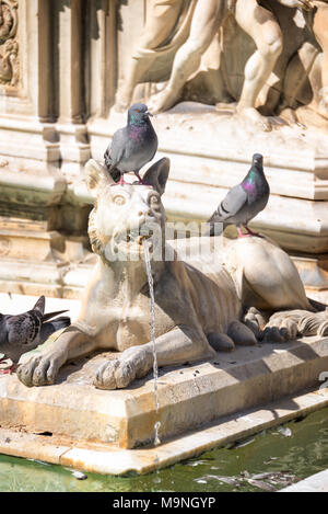 Detail von Fonte Gaia (Brunnen der Freude) auf der Piazza del Campo (Campo Square) in Siena. Toskana, Italien Stockfoto