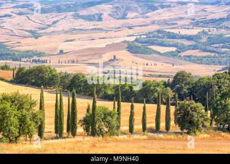 Schöne typische Landschaft der Toskana mit Zypressen, Toskana, Italien Stockfoto
