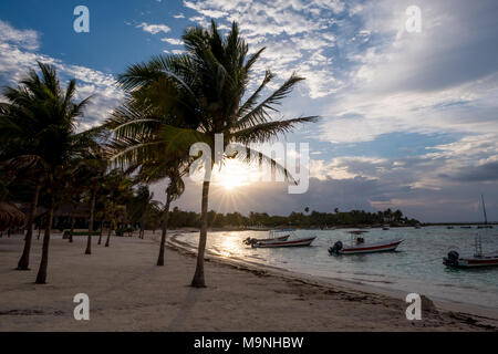 Akumal Beach Riviera Maya - Mexiko Stockfoto