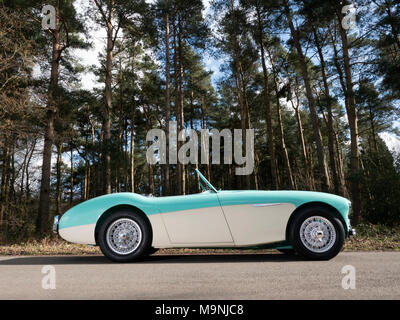 1956 Austin Healey 100/4 BN2 Stockfoto