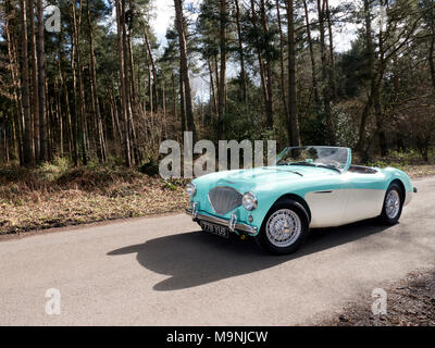 1956 Austin Healey 100/4 BN2 Stockfoto