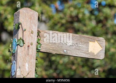 Holz- öffentlichen Fußweg finger post Zeichen in der Britischen Landschaft in England, Großbritannien. Stockfoto