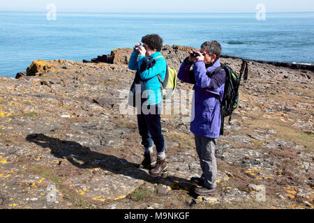 Zwei Frauen Birdwatching auf Lindisfarne, heilige Insel an der nordöstlichen Küste von Northumberland Stockfoto