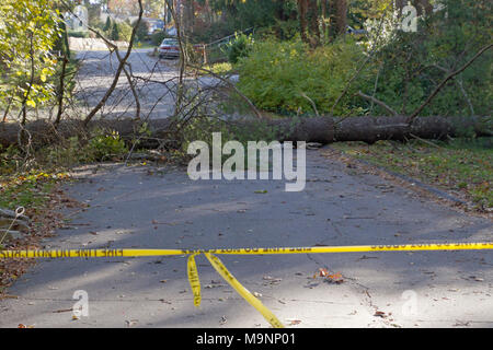 Gelbe klebeband Warnung nicht Seile aus zu einem gefährlichen Gebiet, wo ein großer Baum und Utility Kabel unten über eine Nachbarschaft Straße gefallen sein Kreuz Stockfoto