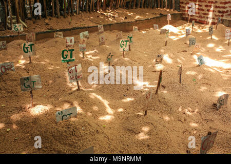 Labels Kennzeichnung Art der Schildkröte und wie viele Tage Ei im Sand, in Sea Turtle Hatchery. Galle, Sri Lanka Stockfoto