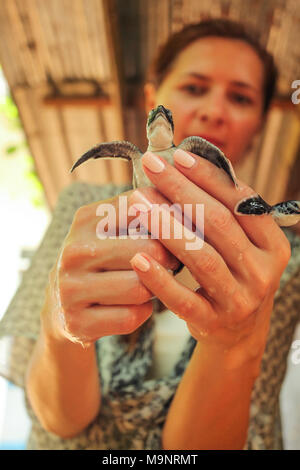 Junge Frau mit geschlüpfte Schildkröte in den Händen. Sea Turtle Hatchery Zentrum, Galle, Sri Lanka Stockfoto