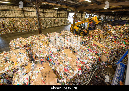 Ballen von recyceltem Karton und Kunststoff in einem großen Rat-run-Lager und eine gelbe Gabelstapler packte einen Haufen Müll in der Recyclinganlage Stockfoto